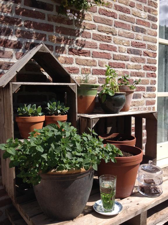 Hof Van Renesse Noordwelle Ngoại thất bức ảnh