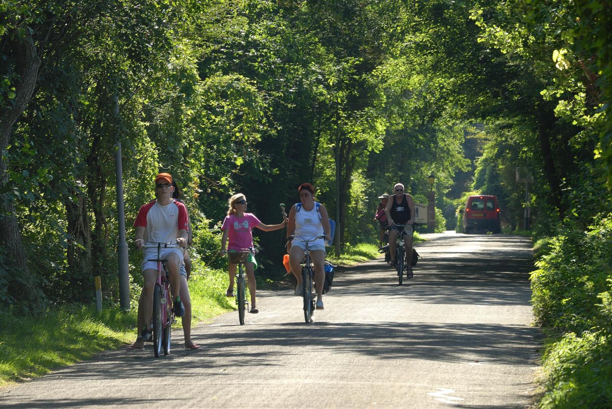 Hof Van Renesse Noordwelle Ngoại thất bức ảnh